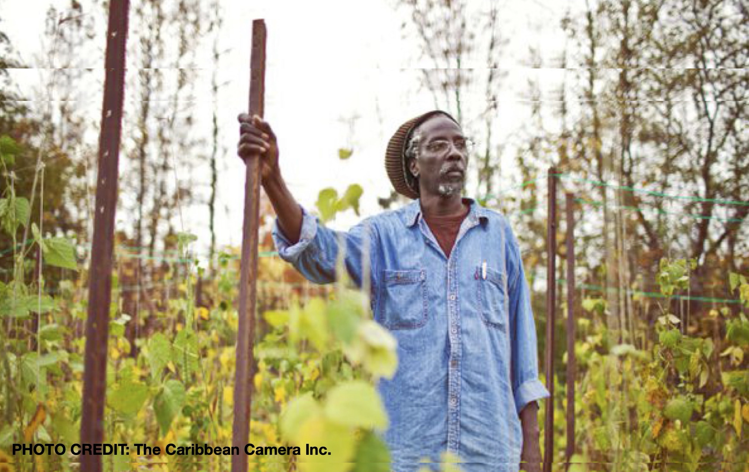 Anan Lololi Thumbnail FB Carribean Camera