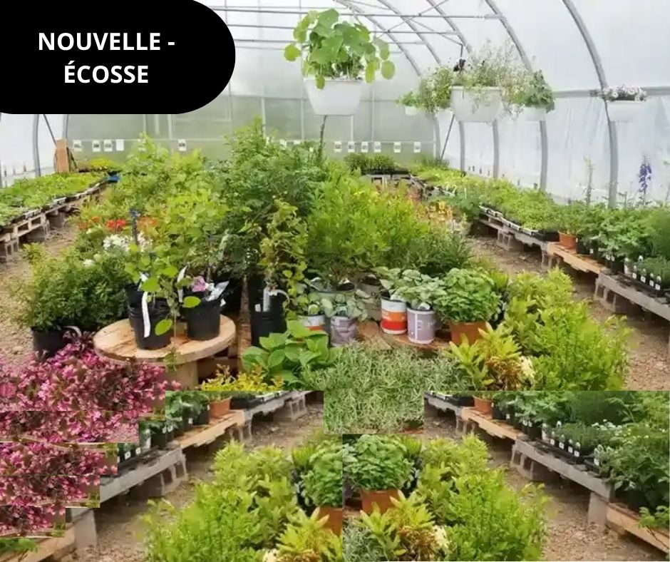 Cochrane Family Field Day FRE