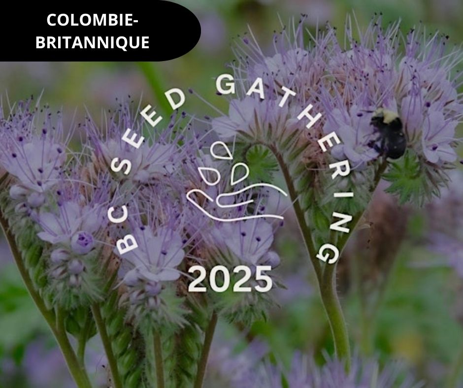 BC Seed gathering ENG