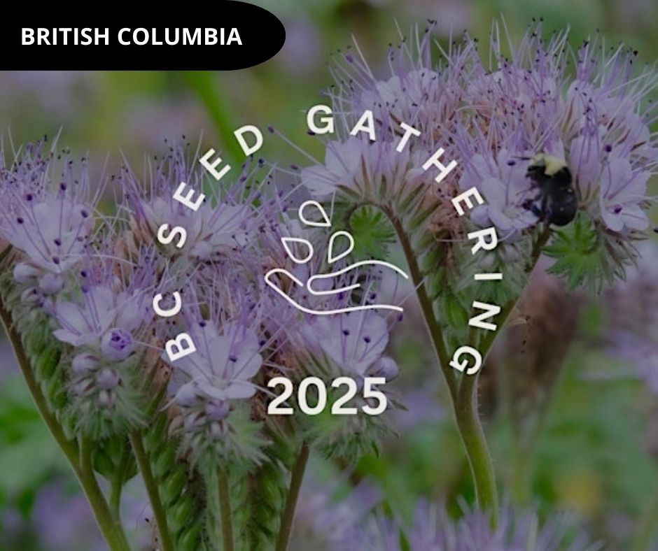 BC Seed gathering FR