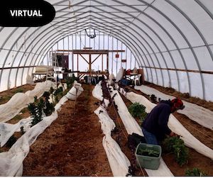 BC Seed gathering FR