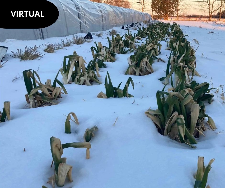 northern latitudes english