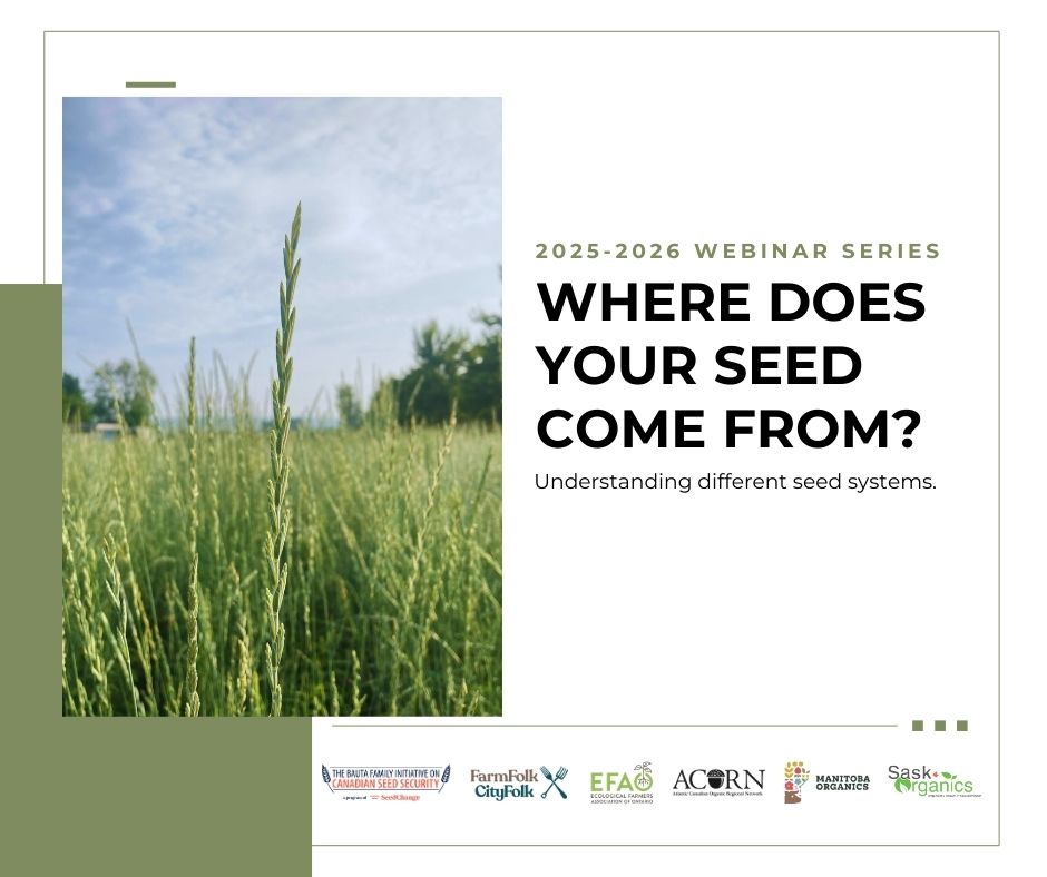 where does your seed come from?