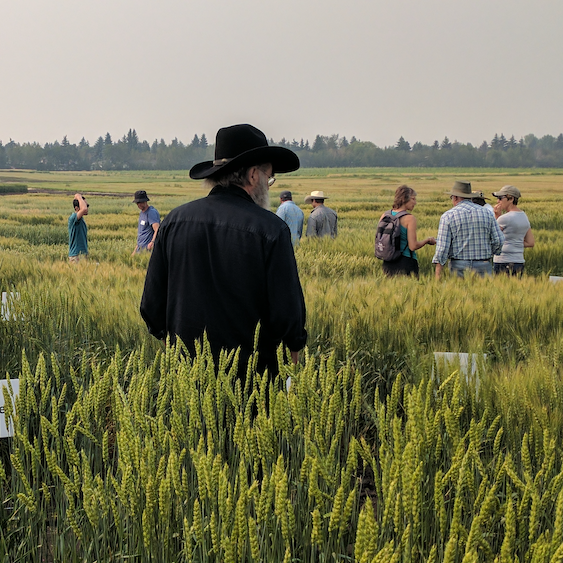 Praires region plant breeding