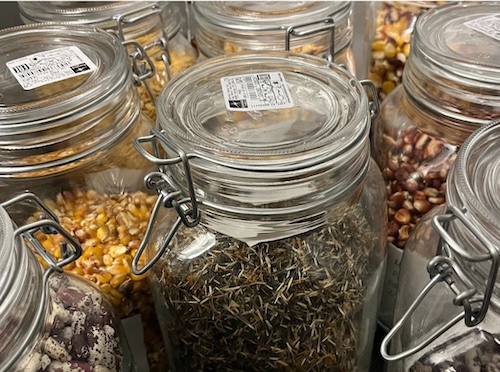 quebec seed catalogue